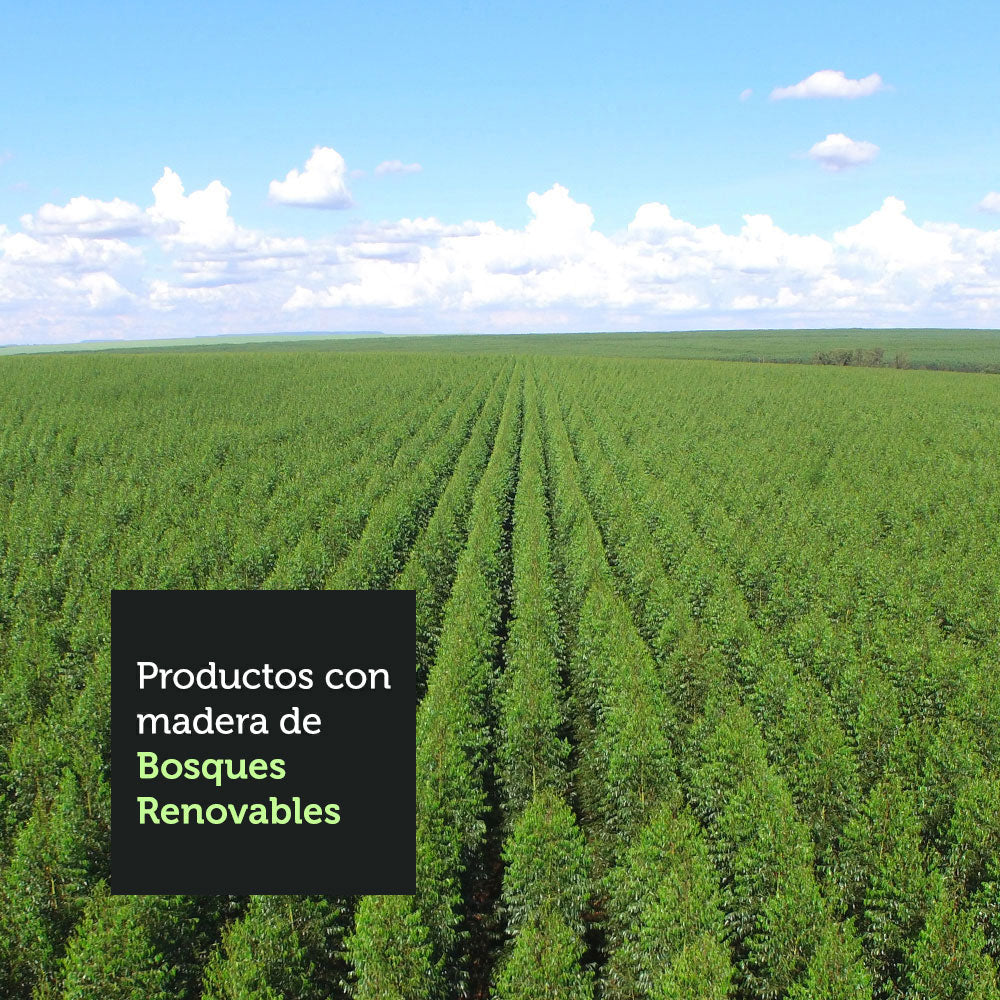 Mesa de Comedor Cuadrada 4 Puestos - Tablero de Madera y Cristal
