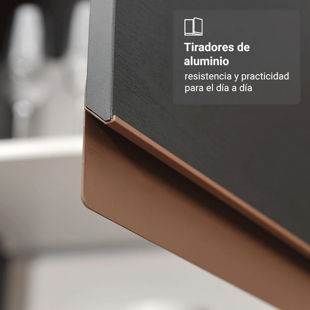 Mueble de Cocina Bajo Reims 70 cm 2 Puertas Negro