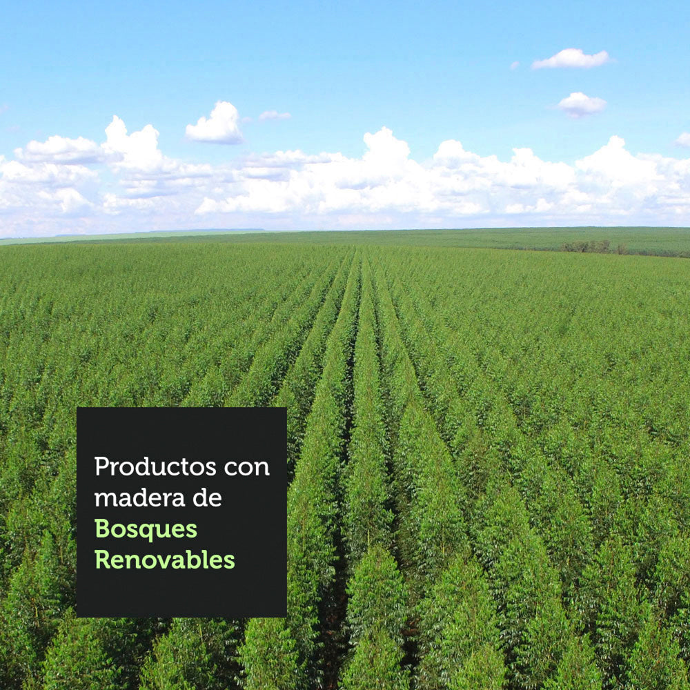 Panel para TV Hasta 65 Pulgadas