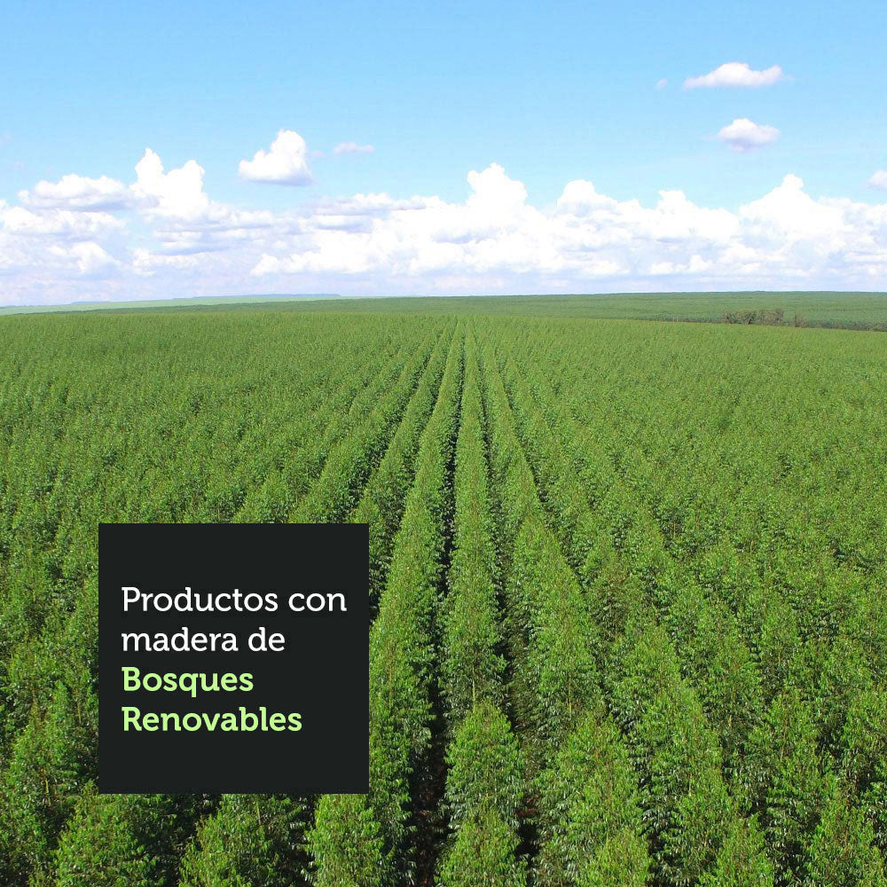 Kit de 4 Sillas de Comedor 4290