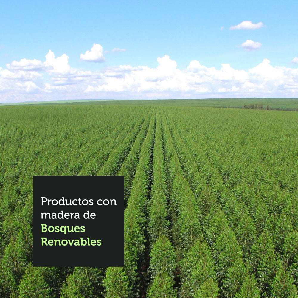 Mesa de Comedor Rectangular 6 Puestos