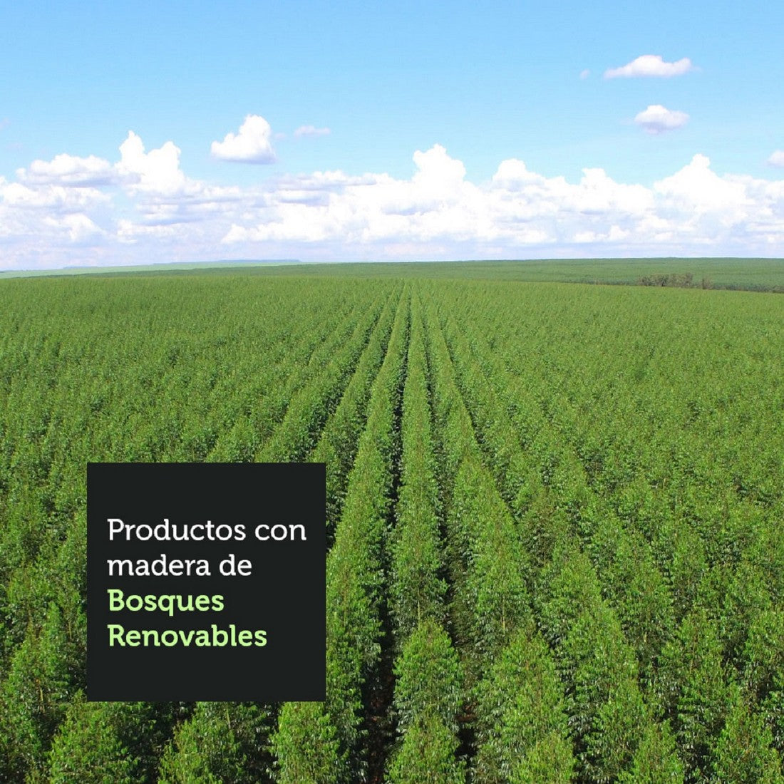 Closet Reno 3 Puertas Corredizas 4 Cajones